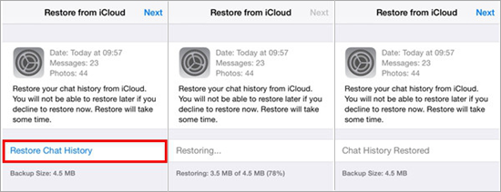 Recover Deleted Messages from WhatsApp iCloud Backup