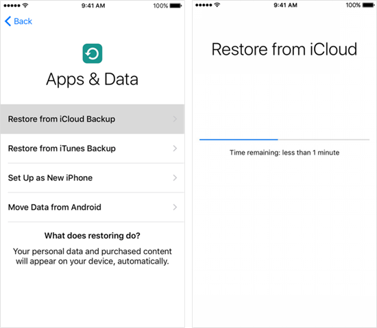 Check & Recover Safari History on iPhone Using iCloud Backup